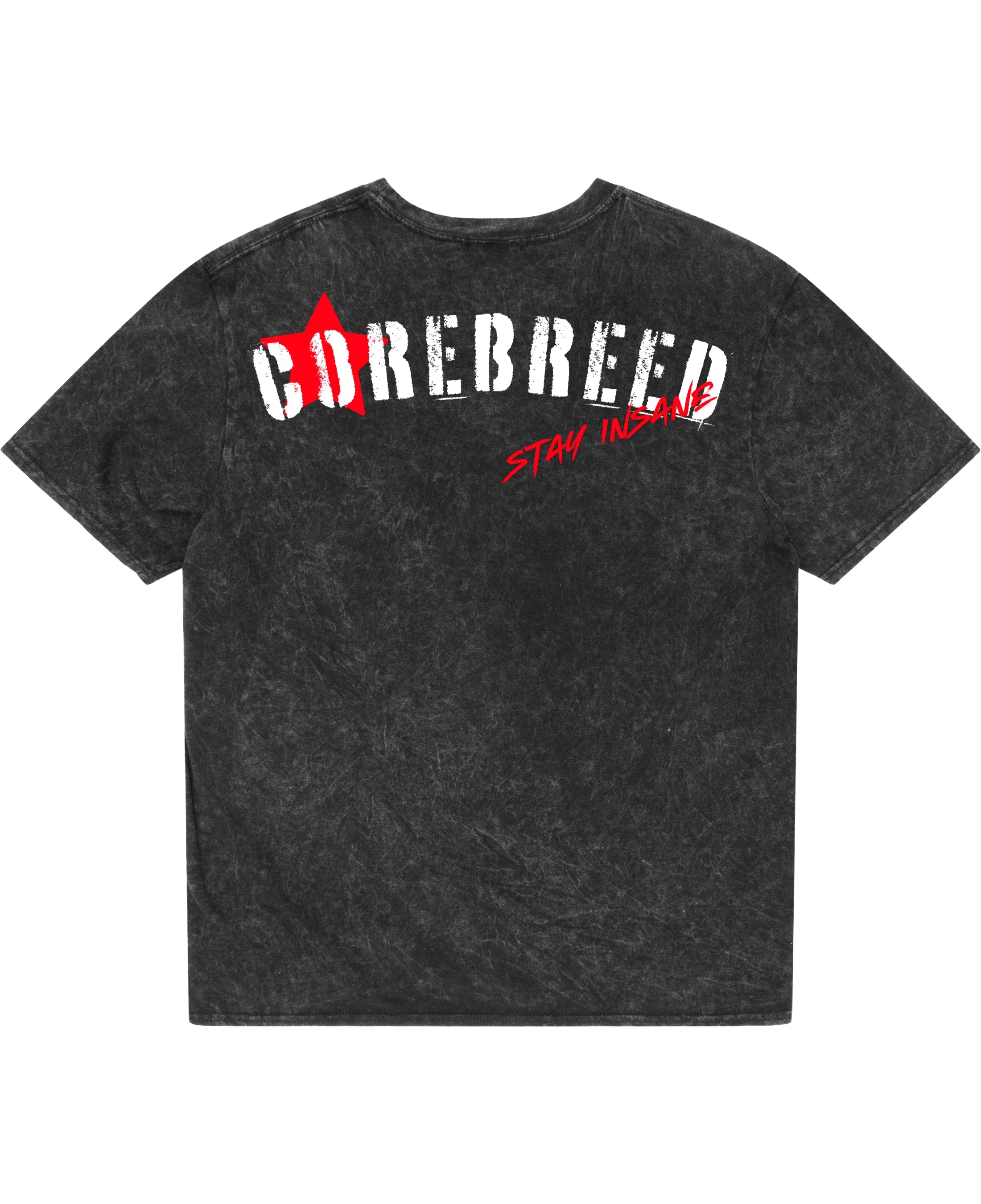 Acidwash Oversized T-shirt Back Design