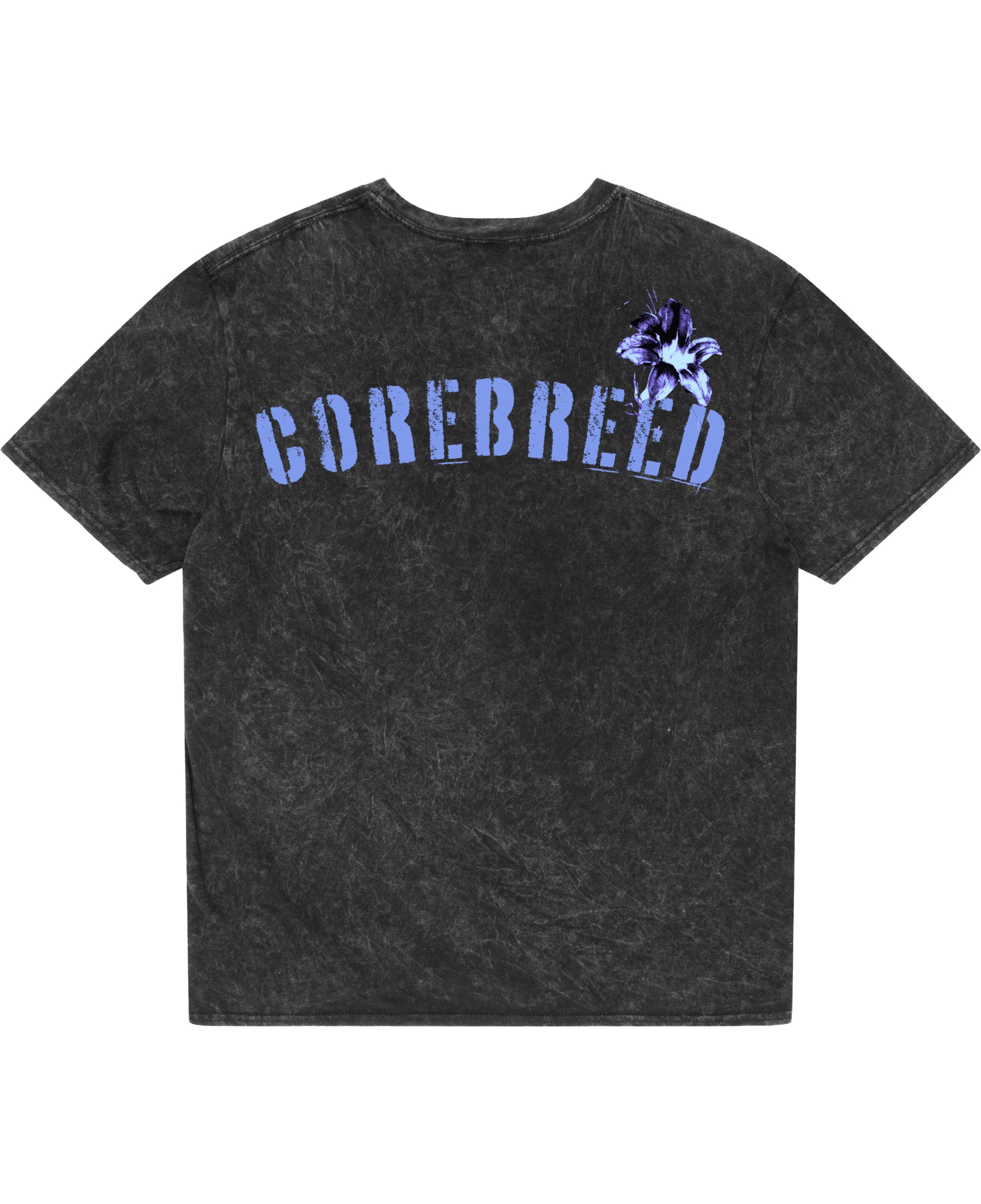 Acidwash Oversized T-shirt Back Design