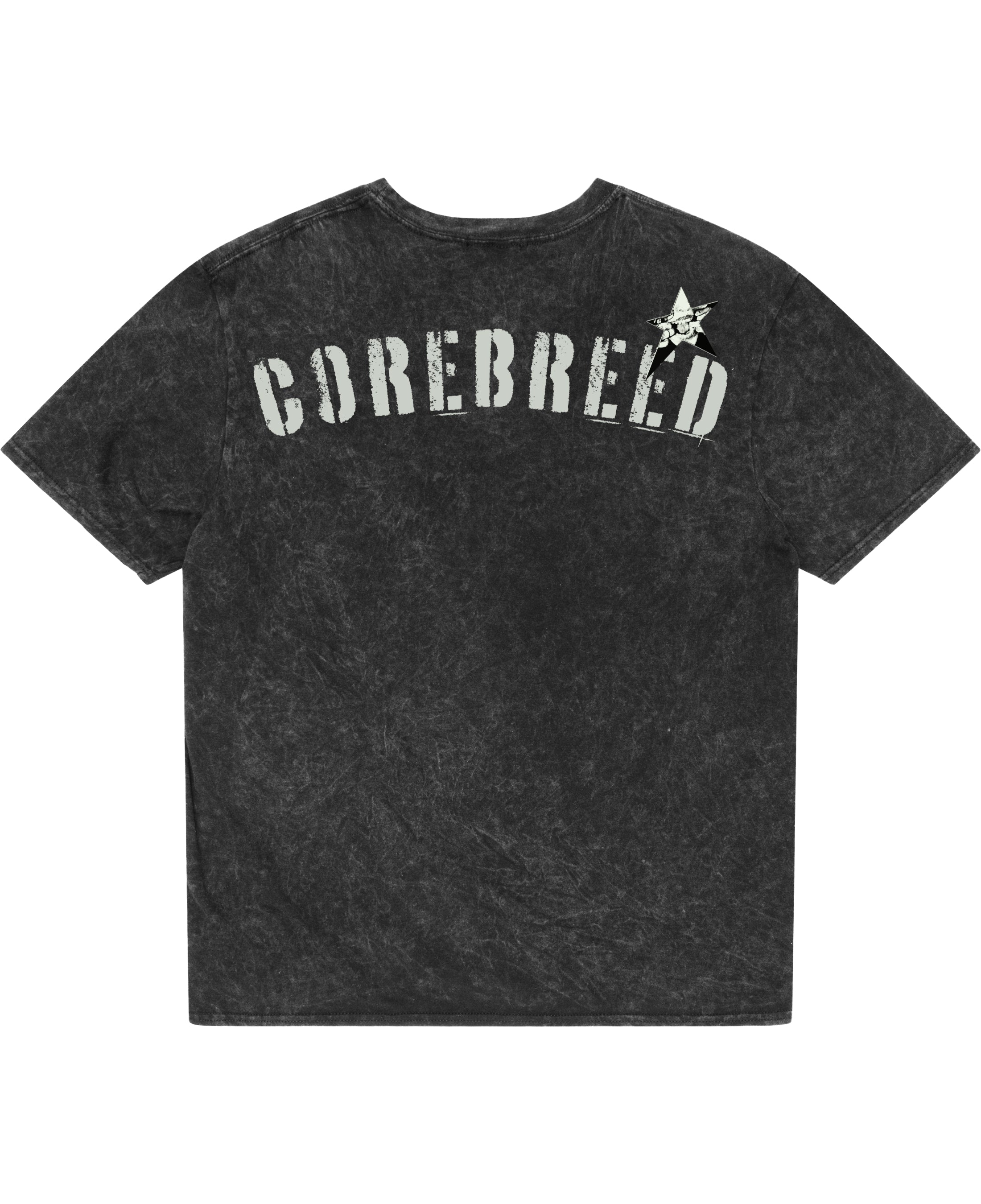 Acidwash Oversized T-shirt Back Design