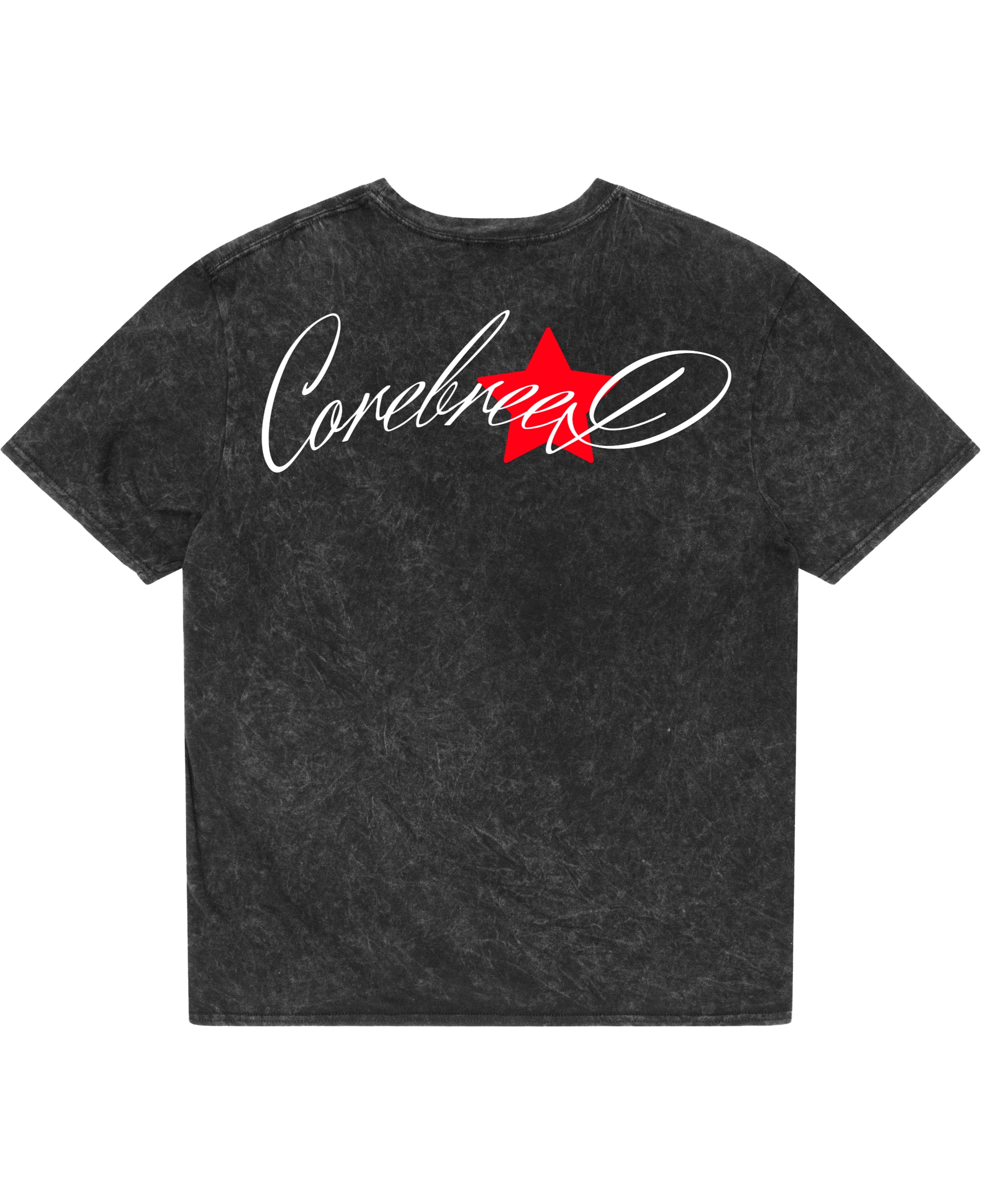 Acidwash Oversized T-shirt Back Design